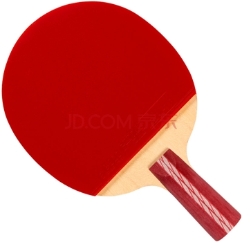 红双喜DHS狂飚乒乓球拍直拍双面反胶弧圈结合快攻4星H4006含拍套乒乓球
