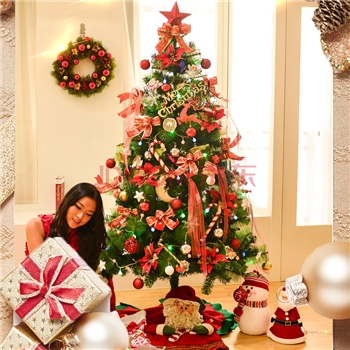 多美忆 圣诞树圣诞节装饰品1.8米圣诞树套餐豪华加密型圣诞树送彩灯