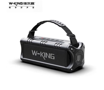 音箱 （W-King）D8
