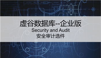 【选件】企业版--安全审计选件（Security and Audit）